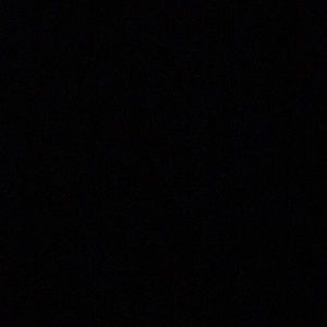 Meet your Posher, Ricky